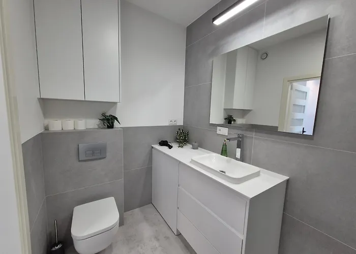 Апартаменты Zacisze 1 *